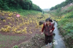 高速旁种红薯土豆？ 两万平方米违规菜地被清理 - 重庆晨网