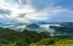 重庆这个不知名的高山湿地，一簇簇热烈的红燃遍了山野 - 重庆晨网