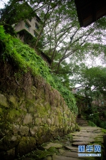 古树古庙古井，石路石墙石屋……来这个村落穿越时空 - 重庆晨网