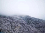 半山彩林半山雪！巫山现奇美雪景 - 重庆晨网