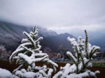 半山彩林半山雪！巫山现奇美雪景 - 重庆晨网