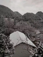 半山彩林半山雪！巫山现奇美雪景 - 重庆晨网