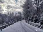 半山彩林半山雪！巫山现奇美雪景 - 重庆晨网