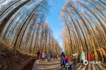 b156dea26cc9c6da0dda596b15457533.jpg - 重庆晨网