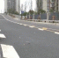 168f12fe0ea7e0f497ed230799b363a1.jpg - 重庆晨网