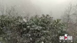 强降温来袭 重庆这里也下雪了 - 重庆晨网