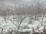 气温骤降 奉节高海拔地区迎来新年首场降雪 - 重庆晨网