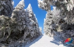 防控疫情坚守在家？@所有人 快来“云赏雪”！ - 重庆晨网