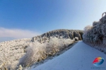 防控疫情坚守在家？@所有人 快来“云赏雪”！ - 重庆晨网