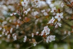 足不出户，逛遍这个花花世界 - 重庆晨网