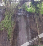 南岸区这条路“污水横流”，何时恢复“海棠烟雨”美景？ - 重庆晨网