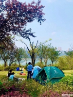 重庆清凉耍水好去处！捉螃蟹、捞鱼虾、挖沙...夏季游玩必备佳品 - 重庆晨网