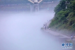 初夏乌江画廊再现平流雾美景 让城市添一份“仙气” - 重庆晨网