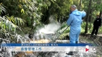 两江地区检察院发出检察建议 办理公益诉讼第一案 - 重庆晨网