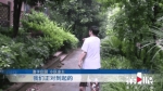 突遇“毒蜂”袭击 水管工人被蛰身亡 - 重庆晨网