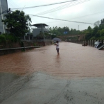 璧山暴雨袭城 多地积水深 有居民楼进水 - 重庆晨网