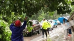 今晨万州遭暴雨袭击 多处路段出现状况 - 重庆晨网