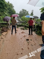 今晨万州遭暴雨袭击 多处路段出现状况 - 重庆晨网