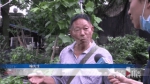 苗圃即将拆除 “花迷”老喻想为他这些宝贝找个新主人 - 重庆晨网