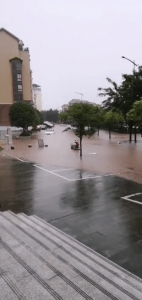 一夜大暴雨，云阳道路成河…… - 重庆晨网