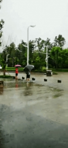 一夜大暴雨，云阳道路成河…… - 重庆晨网