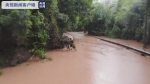 暴雨致国道G348忠县段500多米道路被淹 积水最深超1米 - 重庆晨网