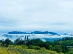 8月重庆这些旅行地，值得你挨个去打卡！ - 重庆晨网