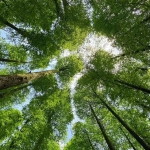 一起去看流星雨！重庆五大观测地，与你相约浪漫加倍！ - 重庆晨网