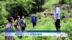 南川破获特大滥伐林木案 十几个山头被砍空 - 重庆晨网