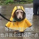 下雨天耍事多！重庆这23处游乐场馆、展览、博物馆、图书馆...够得你耍！ - 重庆晨网