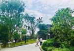 抓住假期的尾巴 坐上轨道交通 打卡重庆独有的城市风景 - 重庆晨网