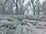 这里的雪景太美，让人不敢相信是真的 - 重庆晨网