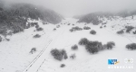 绝美！重庆仙女山迎今冬首场大雪 仿若置身冰雪世界 - 重庆晨网