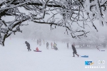 绝美！重庆仙女山迎今冬首场大雪 仿若置身冰雪世界 - 重庆晨网