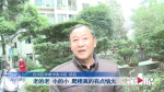 电压陡升 烧坏十部电梯 步行爬楼 居民纷纷喊累 - 重庆晨网