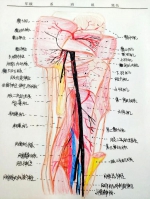 膜拜！重庆这所高校的学生 笔记里全是这样的肉体 - 重庆晨网