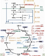 膜拜！重庆这所高校的学生 笔记里全是这样的肉体 - 重庆晨网