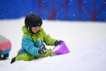 室内滑雪受青睐 冬天“溜”娃新玩法 - 重庆晨网