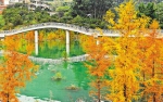 臭水沟变风景区 三峡移民村吃上“旅游饭” - 重庆晨网