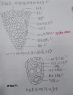 西南大学2020级生物技术专业 曾亦诚 - 重庆晨网