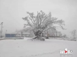 积雪10cm! “霸王级”寒潮来袭 重庆多地降大雪 - 重庆晨网