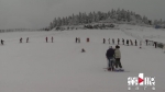 美成冰雪世界！今晨仙女山迎来新年第一场雪 - 重庆晨网