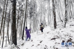 看个够！重庆新年首次雪景上新了！ - 重庆晨网