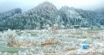 雪后重庆山中美景，每一帧都是仙境！ - 重庆晨网