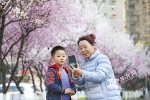 春暖花开，市民邂逅美丽的春天。华龙网-新重庆客户端 记者 李文科 摄 - 重庆晨网