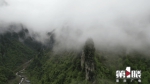 重庆酉阳雨后峡谷云雾缥缈 - 重庆晨网