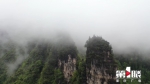 重庆酉阳雨后峡谷云雾缥缈 - 重庆晨网