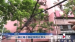 电线掉落成“拦路虎” 市民盼望妥善安置 - 重庆晨网