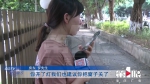 3500元网上订套房 一进门遭遇“昆虫总动员” - 重庆晨网