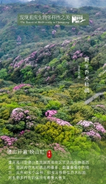 一组海报告诉你 重庆生物多样性有多美！ - 重庆晨网